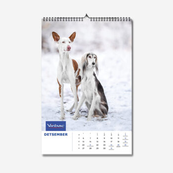 personalised wall calendars with logo and branding