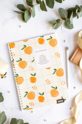 Bullet Journal / Dotted Notebook with spiral binding  - Peaches
